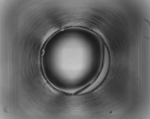 X0000099480894200805161132