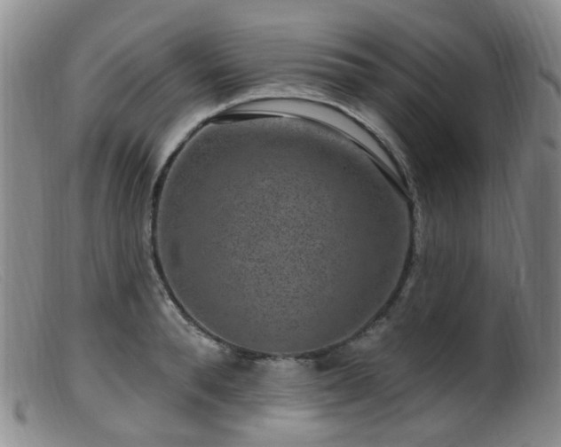 X0000099480896200805161132