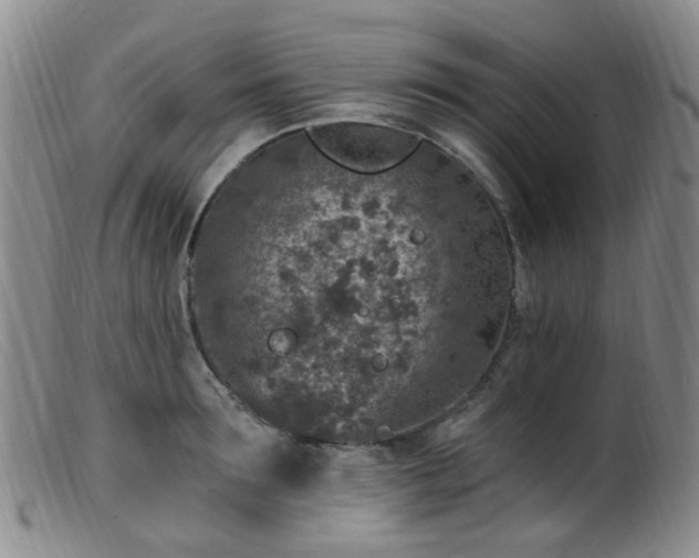 X0000099480899200805161132