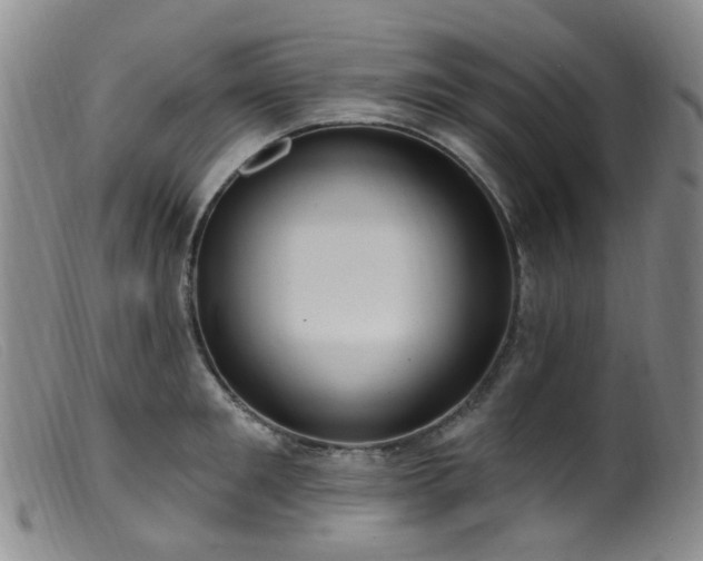 X0000099480901200805161132