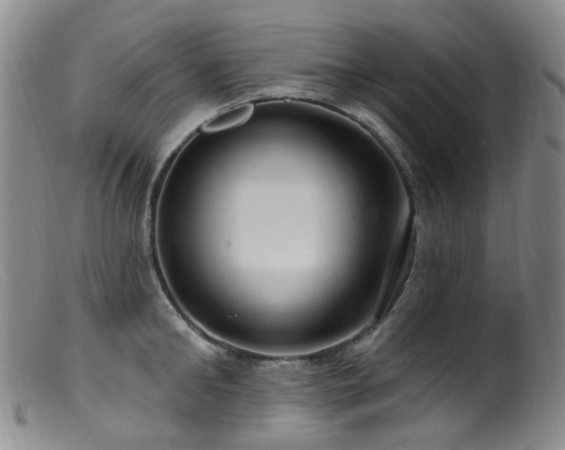 X0000099480902200805161132