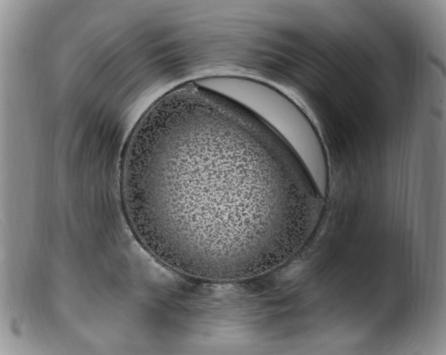 X0000099480903200805161132