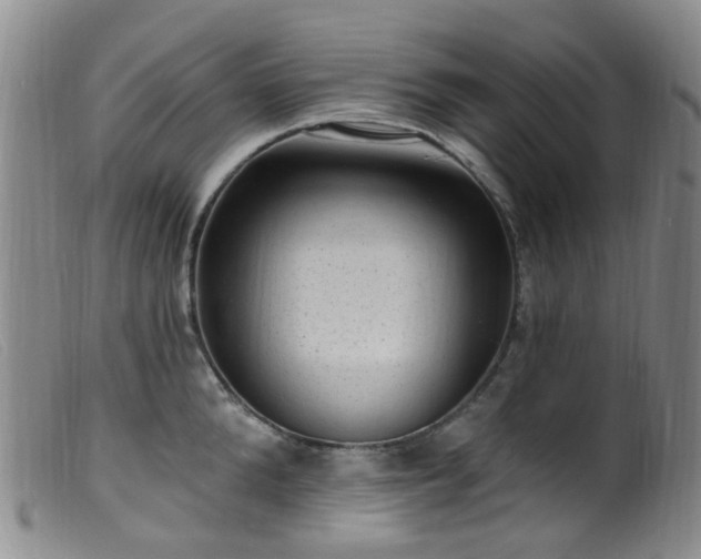 X0000099480904200805161132