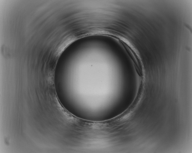 X0000099480905200805161132