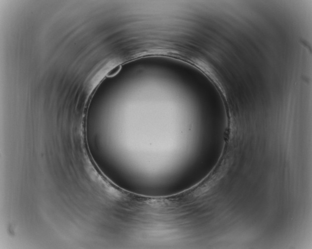 X0000099480906200805161132