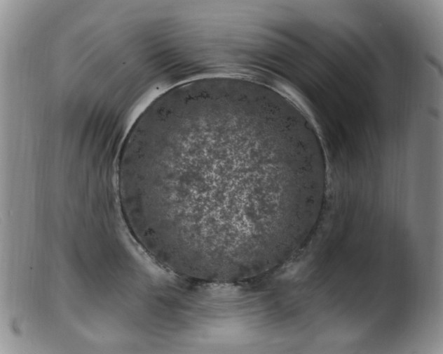 X0000099480907200805161132