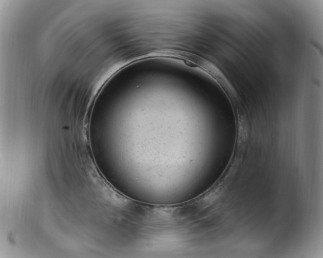 X0000099480908200805161132