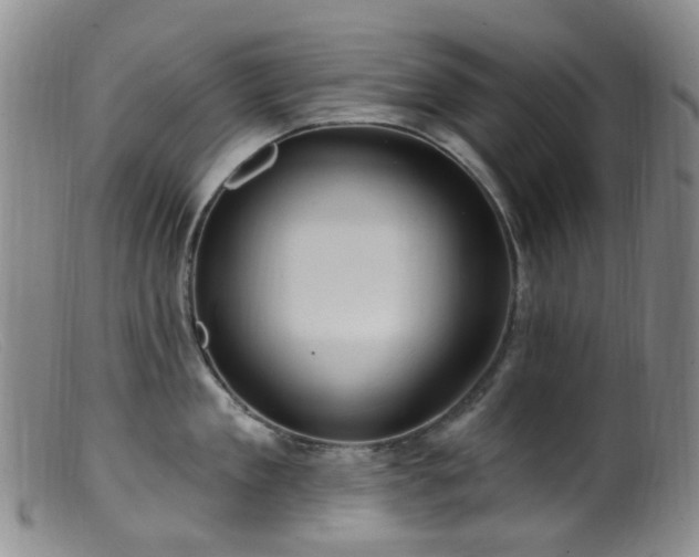X0000099480909200805161132