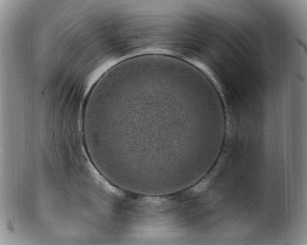 X0000099480910200805161132