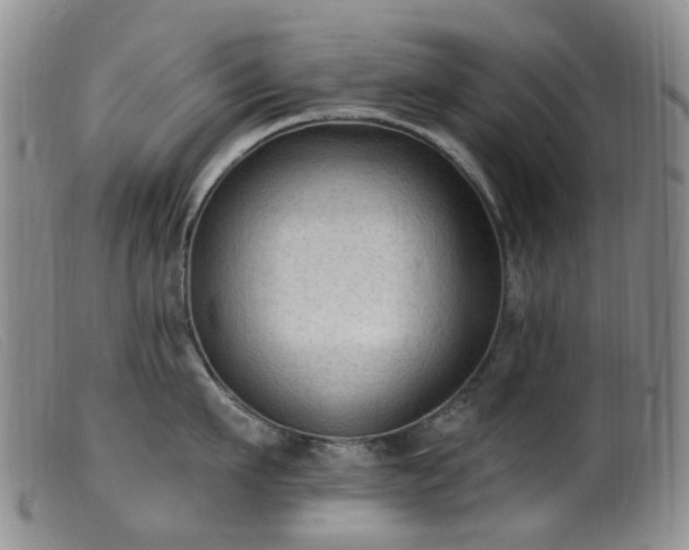 X0000099480911200805161132