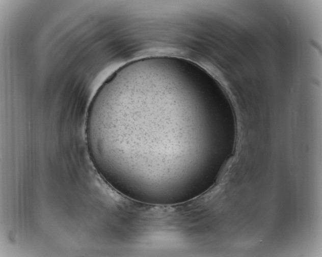 X0000099480912200805161132