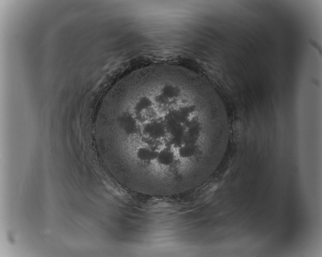 X0000099480913200805161131