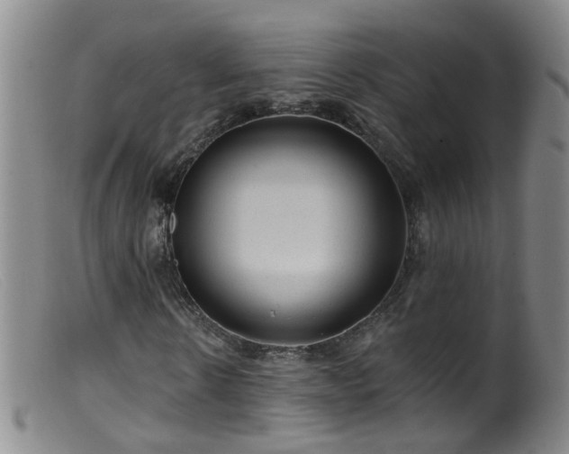 X0000099480914200805161131