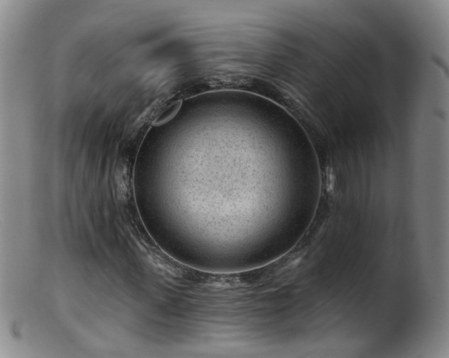 X0000099480915200805161131