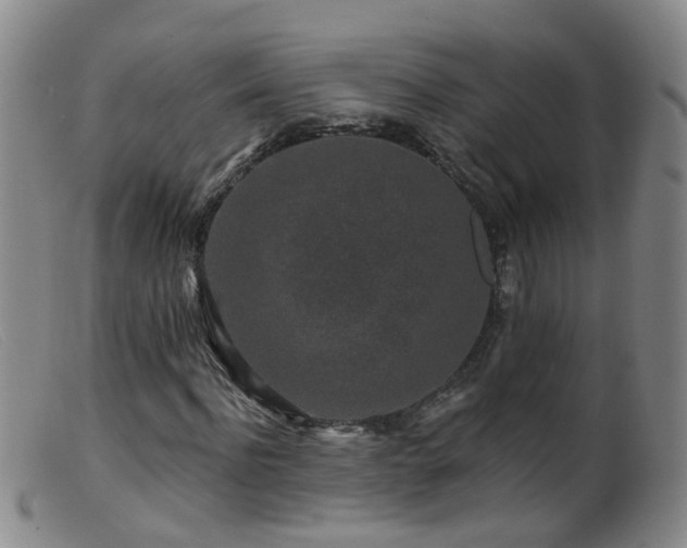 X0000099480916200805161131