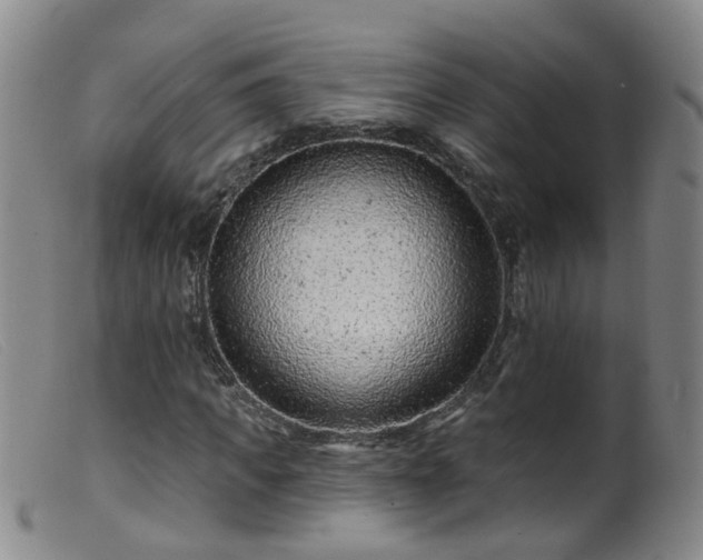 X0000099480917200805161131