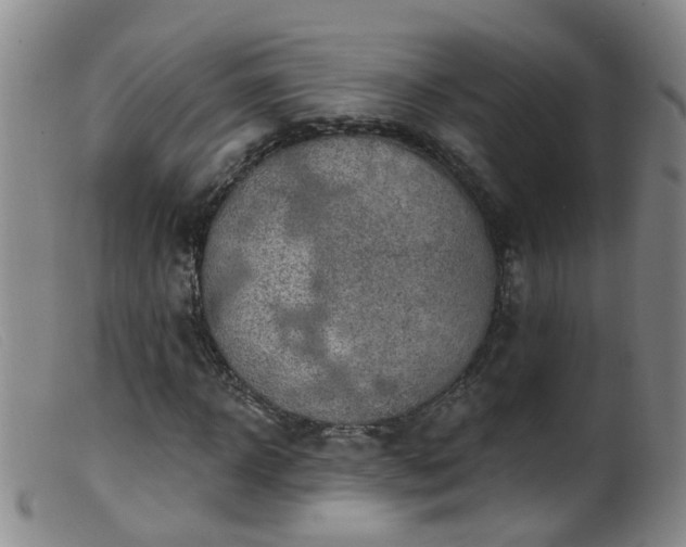 X0000099480918200805161131