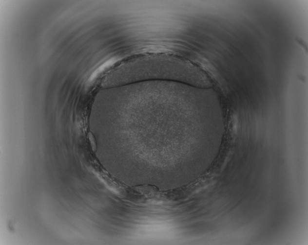 X0000099480920200805161131
