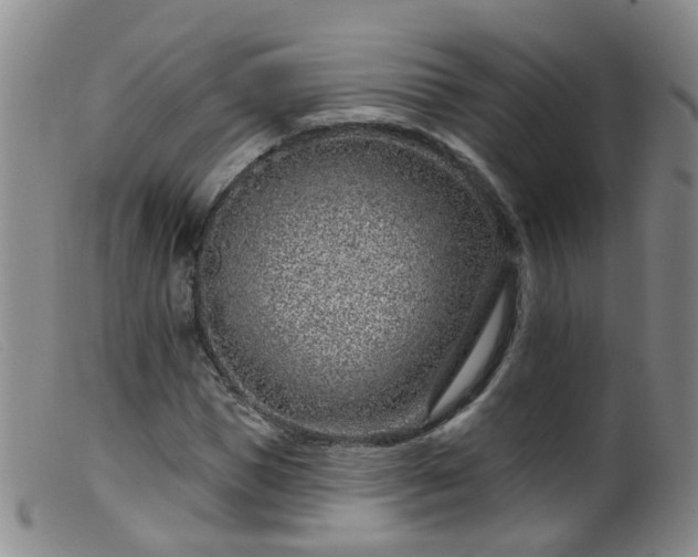 X0000099480921200805161131