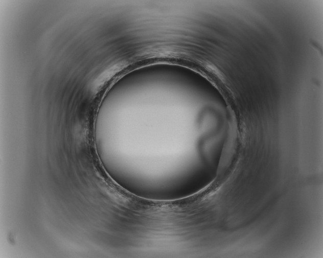 X0000099480922200805161131