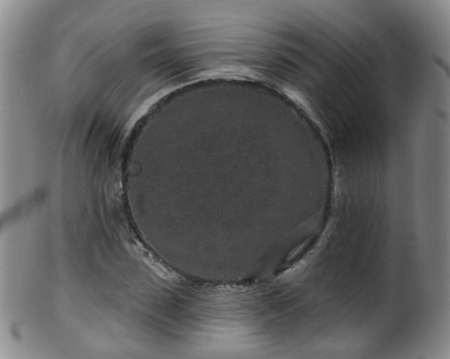 X0000099480923200805161131