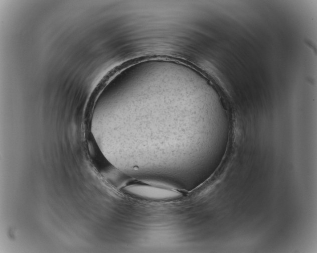 X0000099480924200805161131