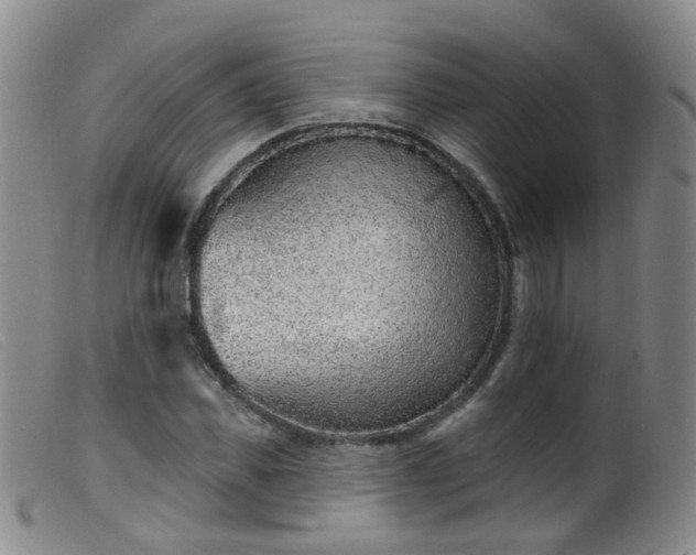 X0000099480925200805161131