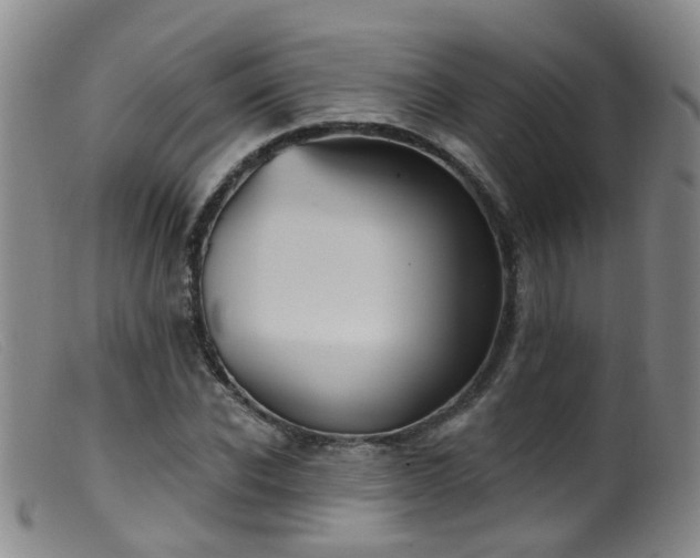 X0000099480926200805161131