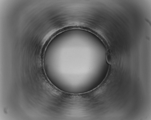 X0000099480927200805161131
