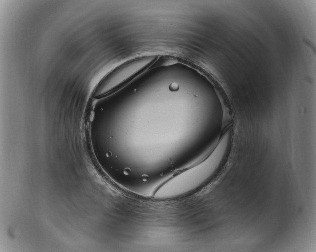 X0000099480928200805161131