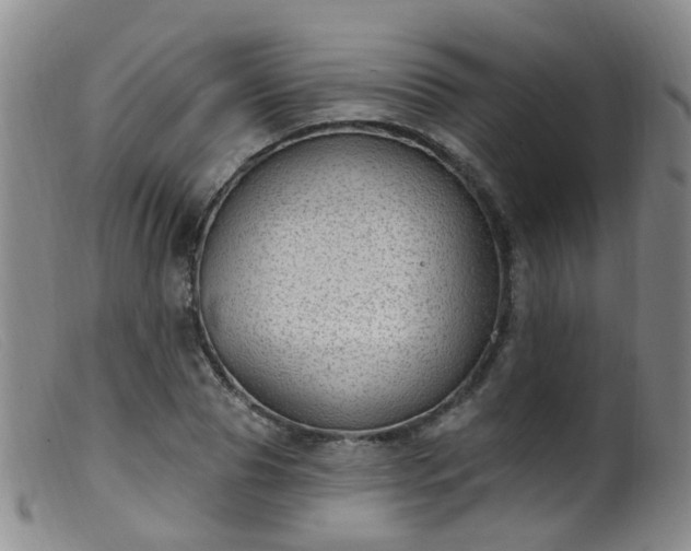 X0000099480929200805161131