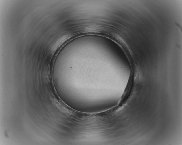 X0000099480930200805161131