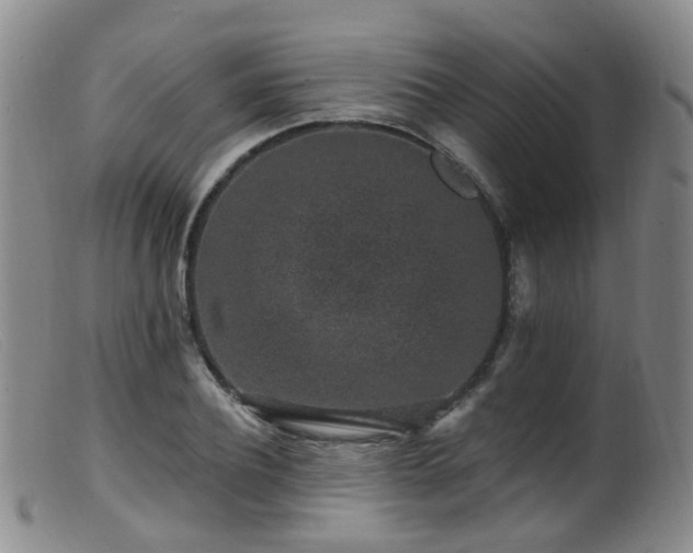 X0000099480932200805161131
