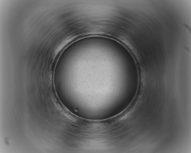 X0000099480933200805161131