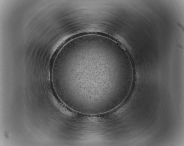 X0000099480934200805161131