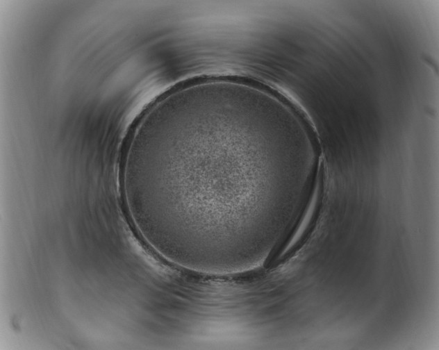X0000099480935200805161131