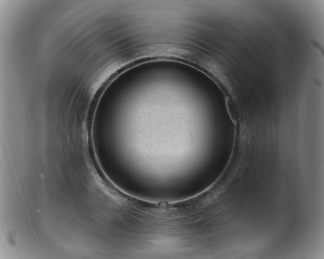 X0000099480936200805161131