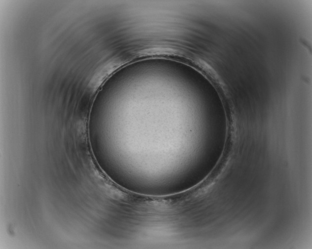 X0000099480937200805161131