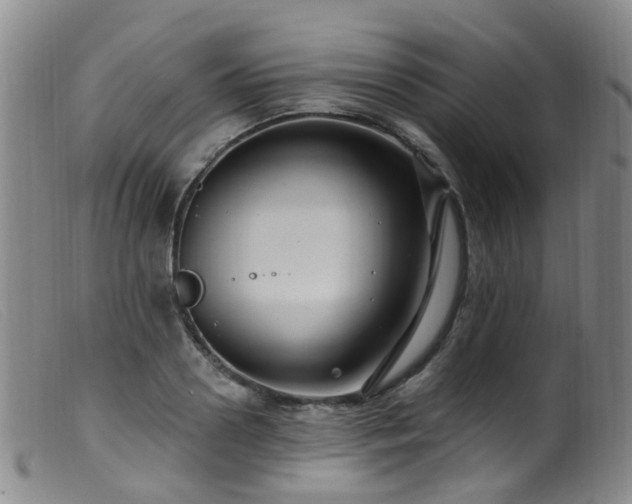 X0000099480938200805161131