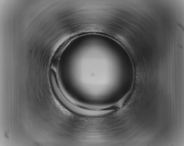 X0000099480942200805161131
