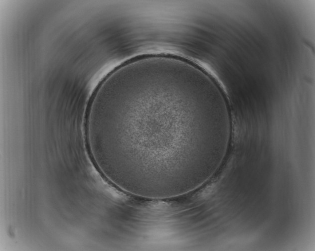 X0000099480943200805161131