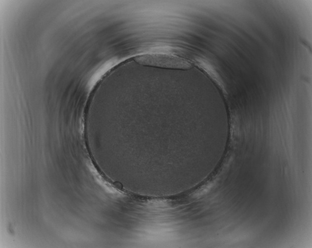 X0000099480944200805161131