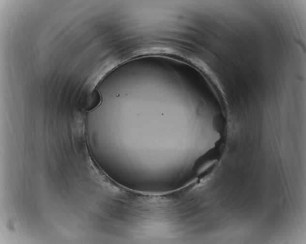 X0000099480945200805161131