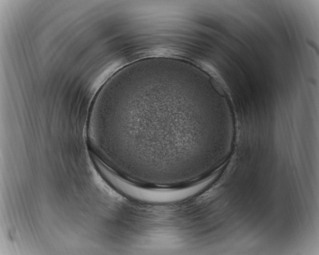 X0000099480946200805161131