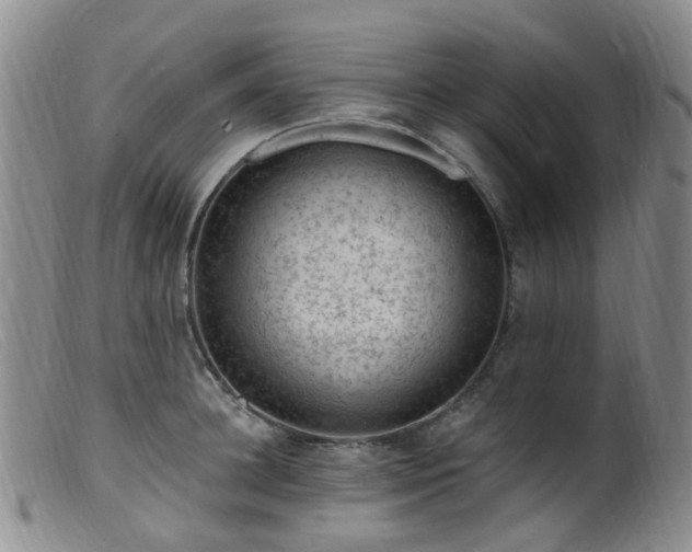 X0000099480948200805161131