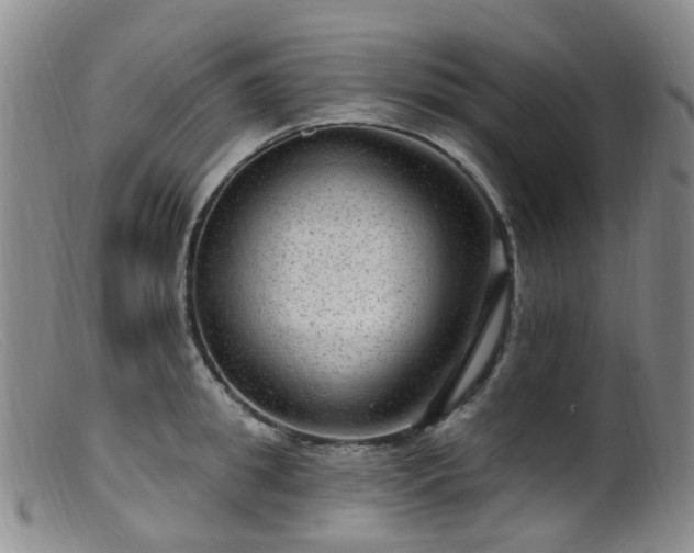 X0000099480949200805161131