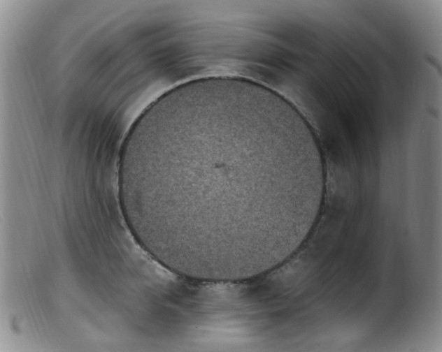 X0000099480950200805161131