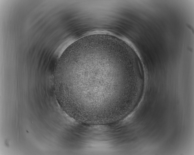 X0000099480953200805161132