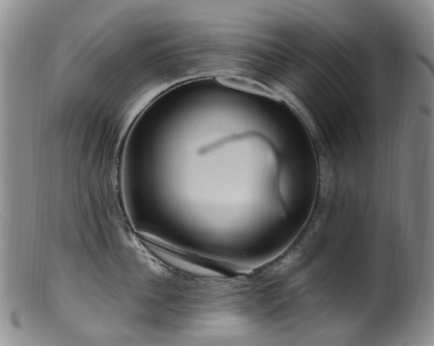 X0000099480956200805161132