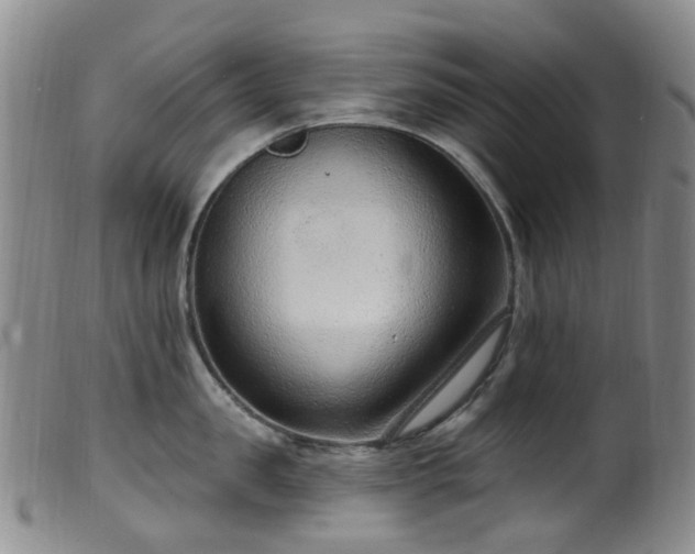 X0000099480957200805161132